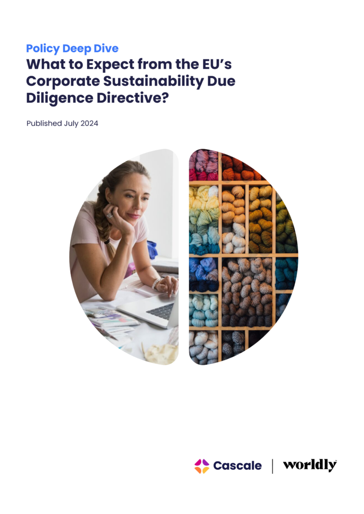 Cover page of policy deep dive on CS3D